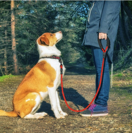 Reflective Nylon Dog Leash Training Rope