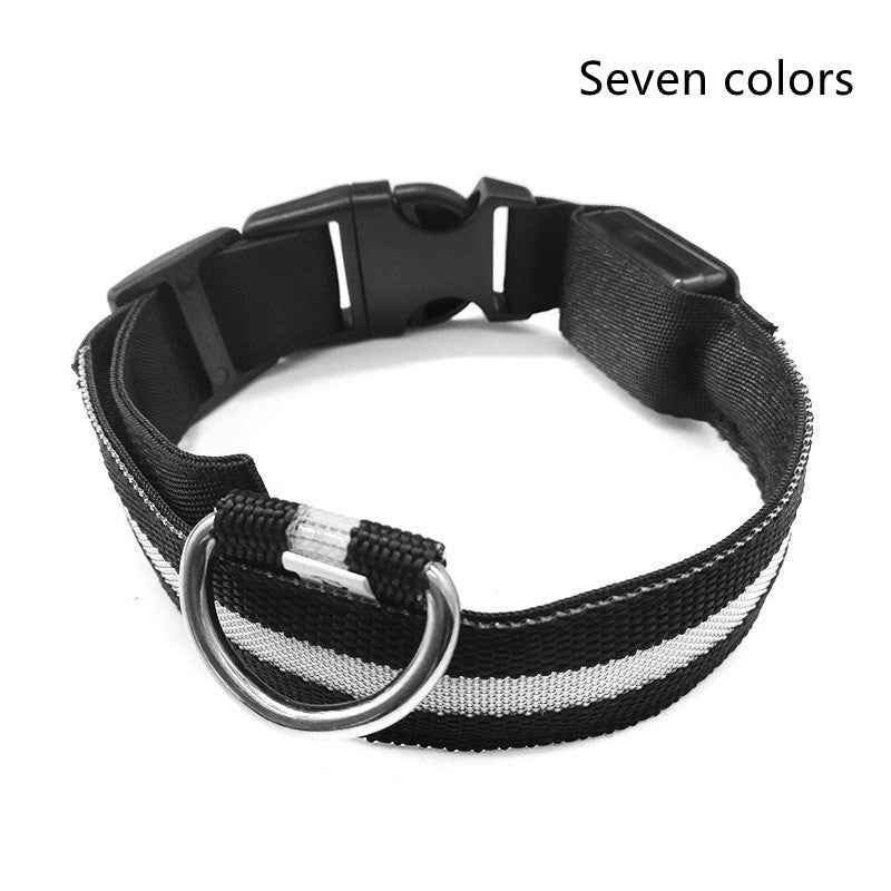 LED Dog Collar Glow in Dark Adjustable