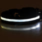 LED Dog Collar Glow in Dark Adjustable