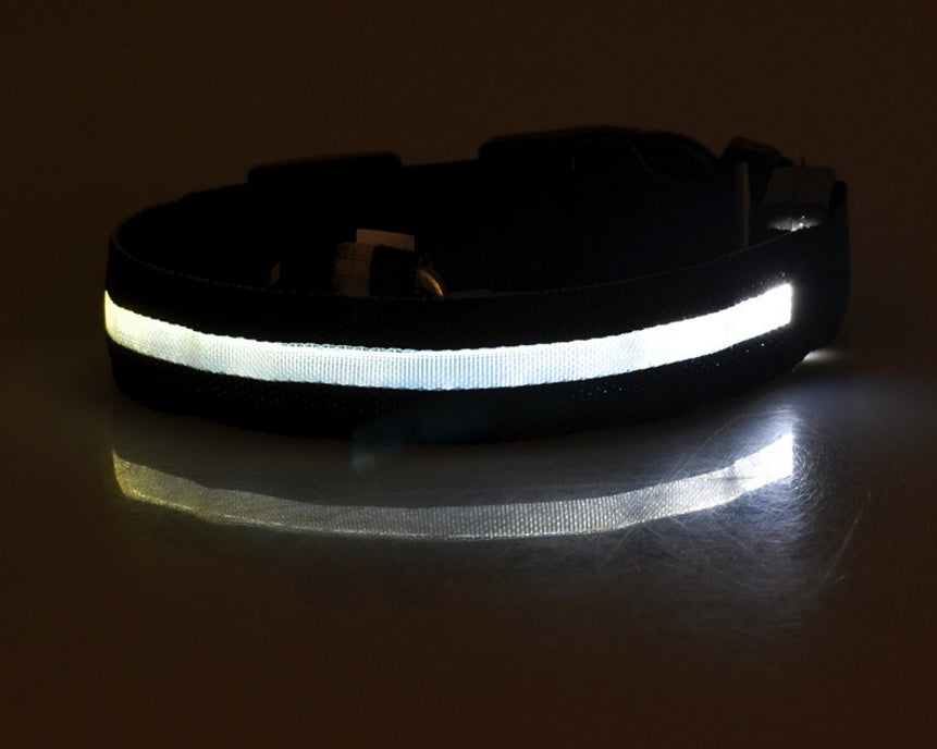 LED Dog Collar Glow in Dark Adjustable