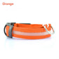 Safety Dog LED Collar