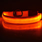 LED Dog Collar Glow in Dark Adjustable