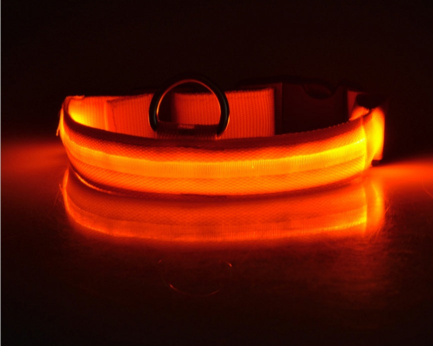 LED Dog Collar Glow in Dark Adjustable