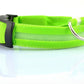LED Dog Collar Glow in Dark Adjustable