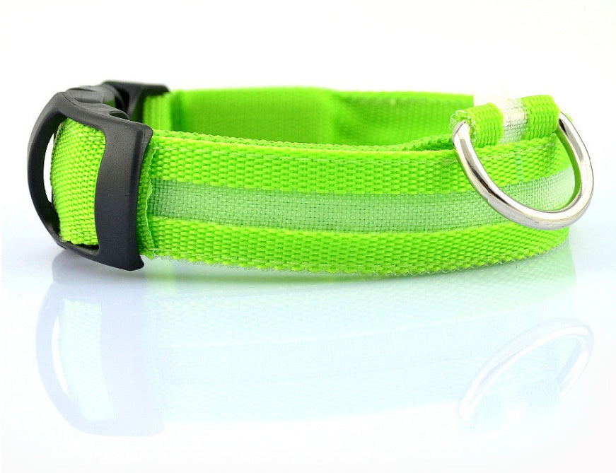 LED Dog Collar Glow in Dark Adjustable