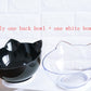 Inclined Transparent Cat Food Bowl
