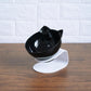 Inclined Transparent Cat Food Bowl