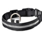 LED Dog Collar Glow in Dark Adjustable