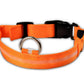 LED Dog Collar Glow in Dark Adjustable