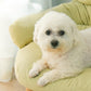 Universal Cat Bed Solid Wood Thickened