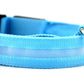 LED Dog Collar Glow in Dark Adjustable