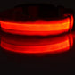 LED Dog Collar Glow in Dark Adjustable