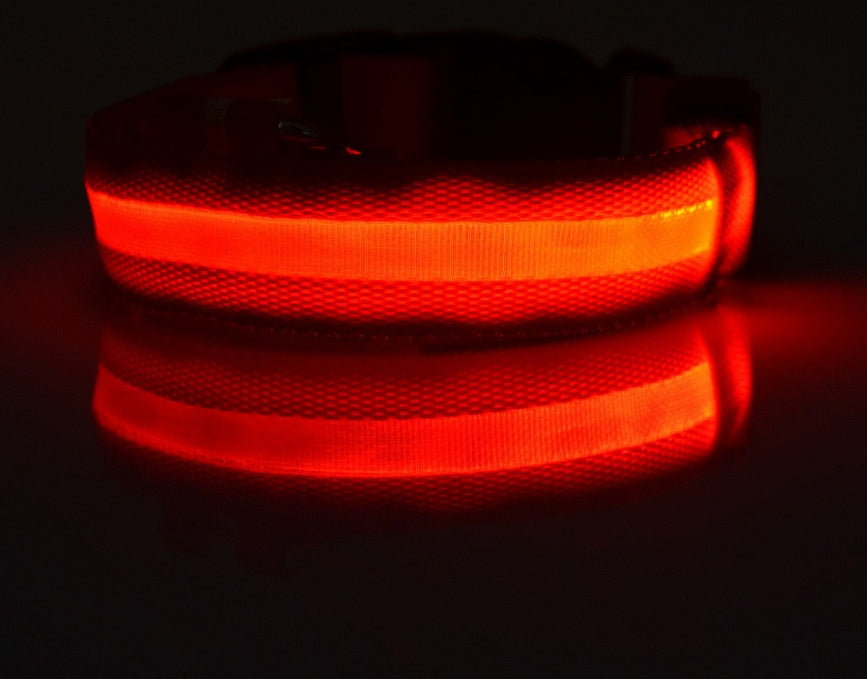 LED Dog Collar Glow in Dark Adjustable