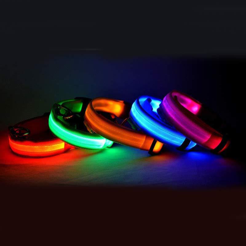 LED Dog Collar Glow in Dark Adjustable