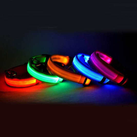 LED Dog Collar Glow in Dark Adjustable