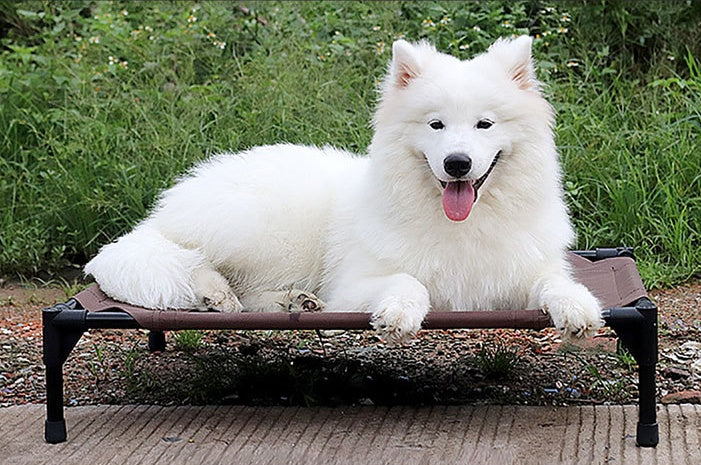 Moisture Proof Dog Bed Washable Oxford
