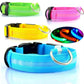 LED Dog Collar Glow in Dark Adjustable