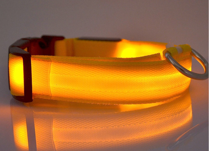 LED Dog Collar Glow in Dark Adjustable