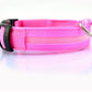 LED Dog Collar Glow in Dark Adjustable