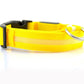 LED Dog Collar Glow in Dark Adjustable