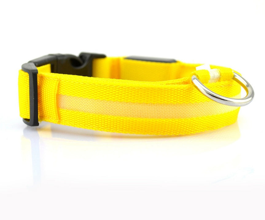 LED Dog Collar Glow in Dark Adjustable