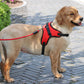 Nylon Dog Harness Padded Reflective Vest