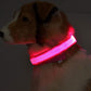 LED Dog Collar Glow in Dark Adjustable