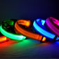 LED Dog Collar Glow in Dark Adjustable