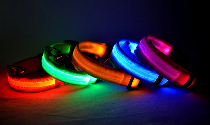 LED Dog Collar Glow in Dark Adjustable