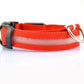 LED Dog Collar Glow in Dark Adjustable