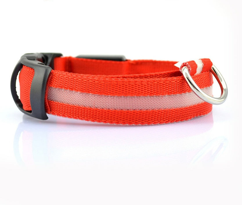 LED Dog Collar Glow in Dark Adjustable