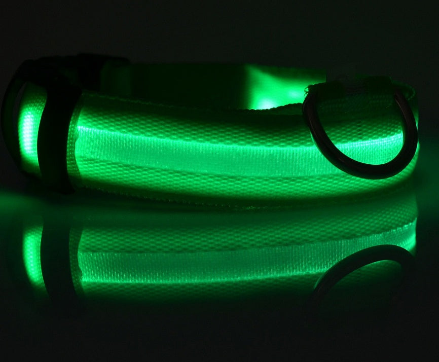 LED Dog Collar Glow in Dark Adjustable