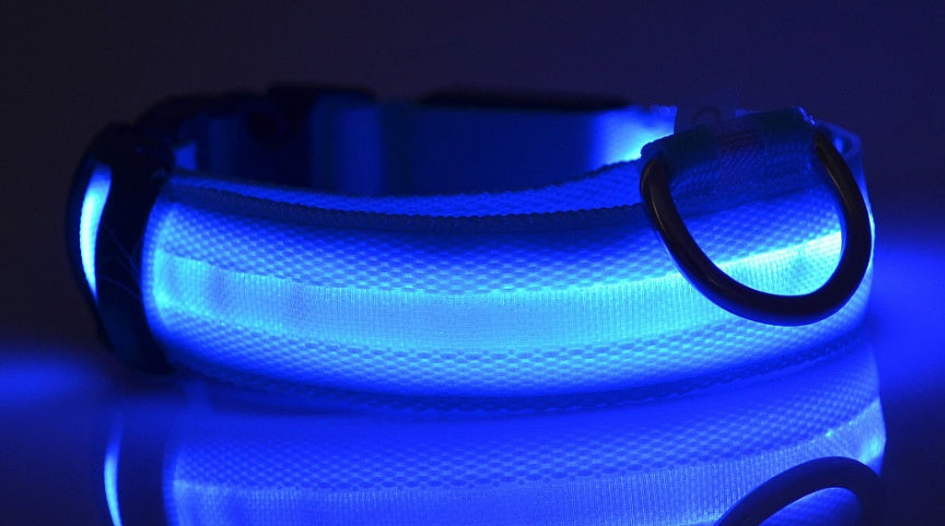 LED Dog Collar Glow in Dark Adjustable