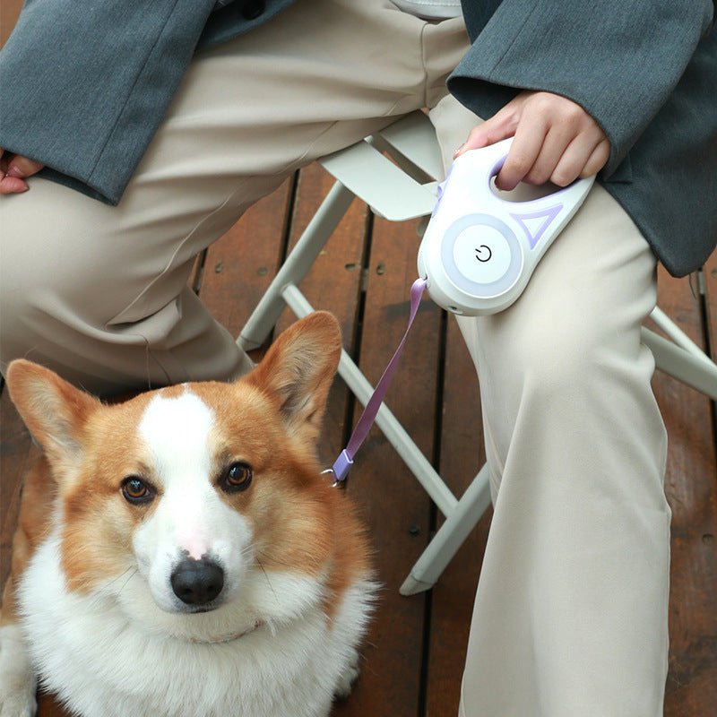 Retractable Dog Leash With Collar Spotlight