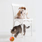 USB Smart Cat Ball Self Rotating Toy