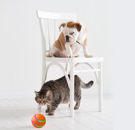 USB Smart Cat Ball Self Rotating Toy