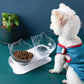 Inclined Transparent Cat Food Bowl